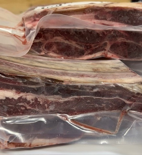 RIBS
