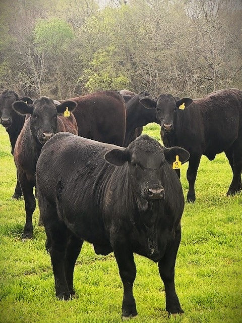 Our farm practices